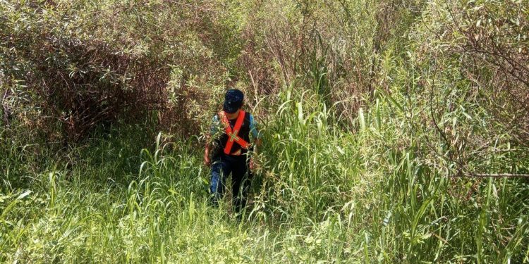 Rastrillaje Julia Escobar