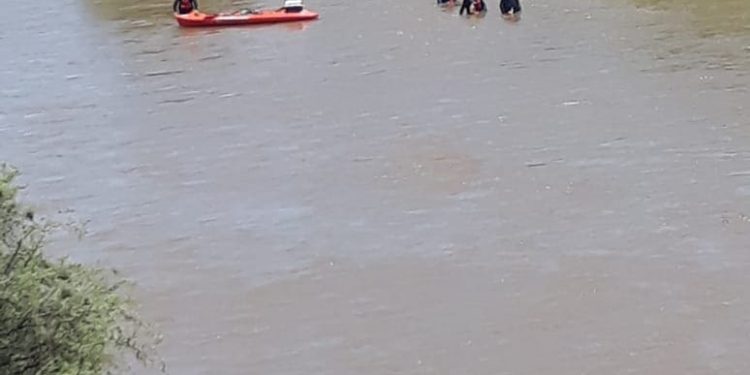 Rastrillaje Julia Escobar