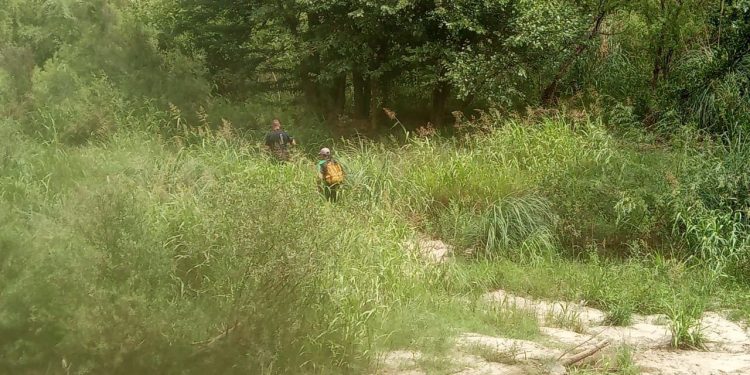 Rastrillaje Julia Escobar