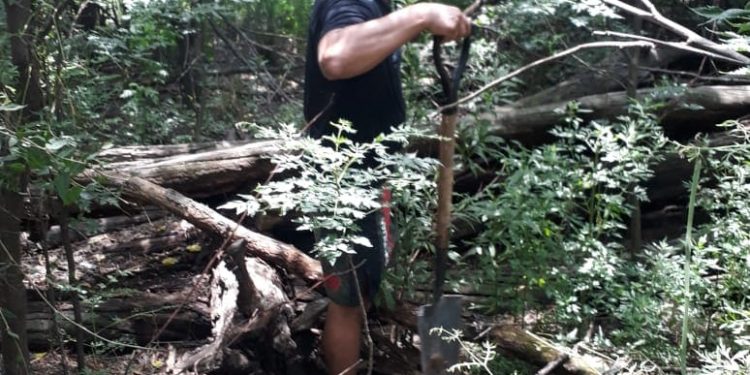 Rastrillaje Julia Escobar