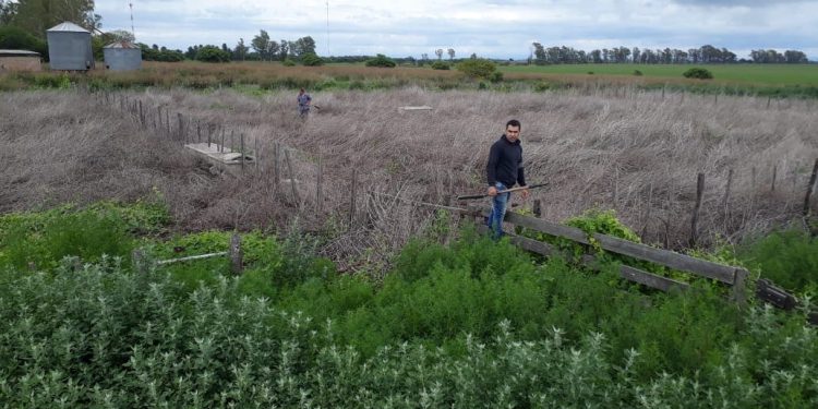 Rastrillaje Julia Escobar