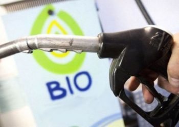 biodiésel argentino