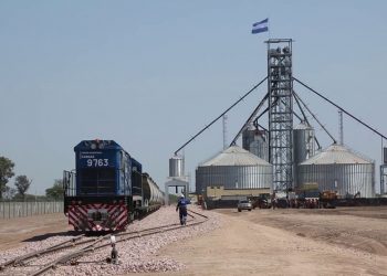 línea Belgrano Cargas