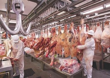 frigorífico res carne