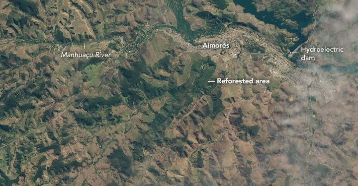 Bosque Lélia Deluiz Wanick