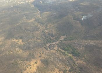 incendio en un pinar de la zona de Copina