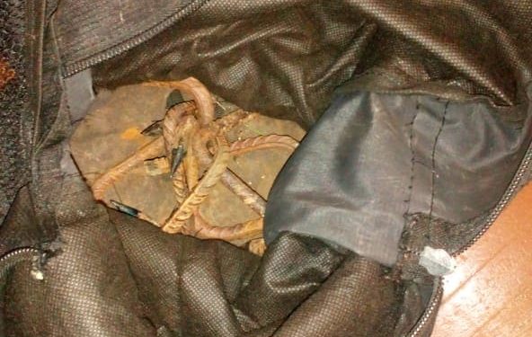 Noticias Río Segundo Pilar 18-11