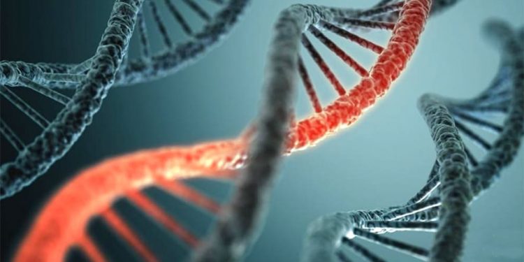 gen llamado “Mucina 6”