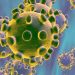 coronavirus